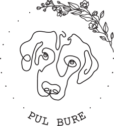 PUL BURE